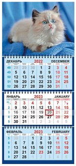 Квартальный календарь на 2023 год &quot;Котёнок&quot;