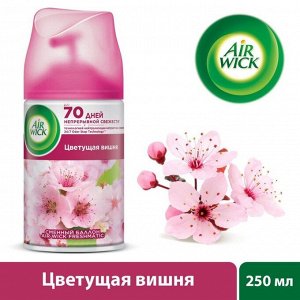 Сменный баллон для автоматического освежителя воздуха Air Wick PURE "Цветущая вишня", 250 мл