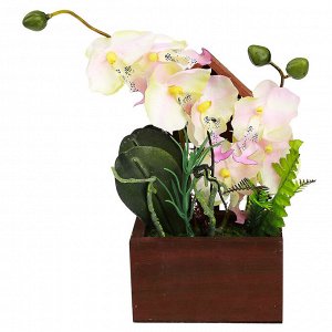 Цветочная композиция "Орхидея" 22см, в деревянном кашпо 12х6см h21,5см, цвет розово-желтый (Китай)