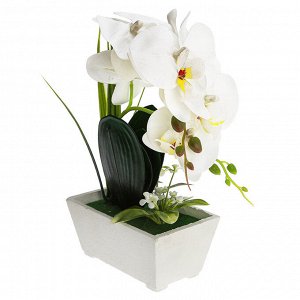 Цветочная композиция "Орхидея" 28см, в деревянном кашпо 15,5х9,5см h7см, цвет белый (Китай)