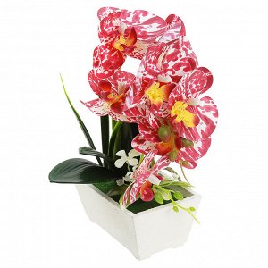 Цветочная композиция "Орхидея" 28см, в деревянном кашпо 15,5х9,5см h7см, цвет бордово-белый (Китай)