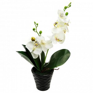 Цветочная композиция "Орхидея" 43см, в керамическом кашпо д10,5см h10см, цвет белый (Китай)