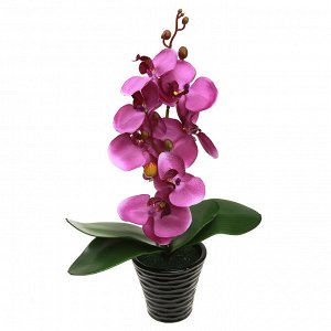 Цветочная композиция "Орхидея" 43см, в керамическом кашпо д10,5см h10см, цвет фуксия (Китай)