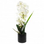 Цветочная композиция &quot;Орхидея&quot; 44см, в керамическом кашпо д9,5см h9,5см, цвет белый (Китай)