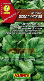 Шпинат Исполинский (Аэлита)