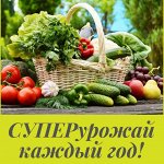 🥔 Семенной картофель и Лёгкое, естественное земледелие