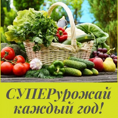 🥔 Семенной картофель и 🍒 Лёгкое, естественное земледелие