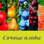 🍒 ДианА. БАДы вашему саду. Подготовка к зиме и лету 2023