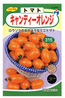 Оранжевый помидор черри