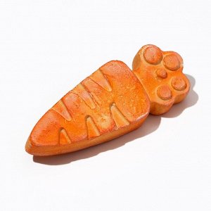 Минеральный камень Пижон для грызунов, морковка, 35 г
