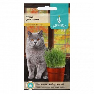 Семена Трава для кошек, 10 г