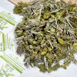 Железница крымская (трава и цветы)