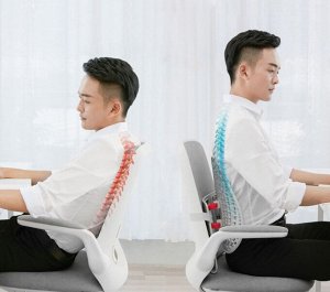 Регулируемая опора для спины Xiaomi Leband Adjustable Ergonomic Back Pad Support