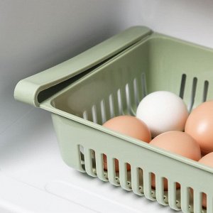 Лоток для хранения яиц, 10 ячеек, 31?17,5?7,5 см, цвет МИКС