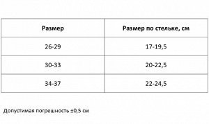 ONLITOP Коньки ледовые раздвижные «Космос», детские 223E, размер 34-37