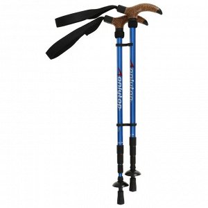 Палки для скандинавской ходьбы, телескопические, 4 секции, до 135 см, (пара 2 шт), цвета микс