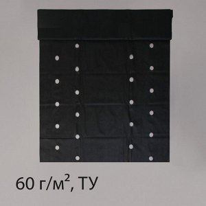 Материал мульчирующий, 10 ? 1.6 м, плотность 60, с УФ-стабилизатором, два ряда перфорации (о), чёрный