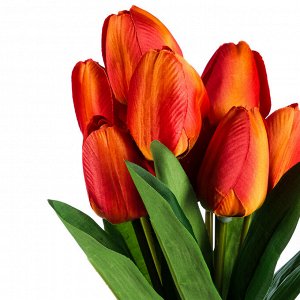 LADECOR Цветочная композиция в виде тюльпанов, 10x10x30см, пластик, полистоун, 6 цветов