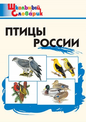 Ситникова Т.Н. ШС Птицы России