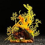 Декор для аквариума &quot;Коралловый островок&quot;, 12 х 8 х 20 см