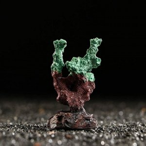 Декоративный коралл "Синулярия мини", 6 х 3,5 х 8,5 см, зелёный