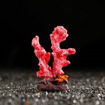 Декоративный коралл &quot;Синулярия мини&quot;, 6 х 3,5 х 8,5 см, красный