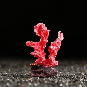 Декоративный коралл "Синулярия мини", 6 х 3,5 х 8,5 см, красный
