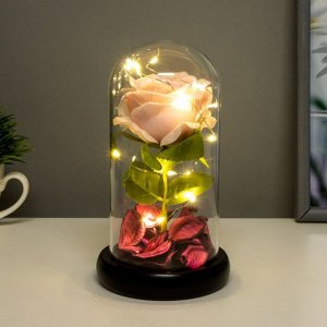 Фигурка светящаяся колба RISALUX «Розовая роза», LED-ночник, 3AAA 8x8x17 см
