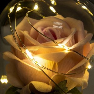 Ночник "Розовая роза" LED 3AAA 8х8х17 см