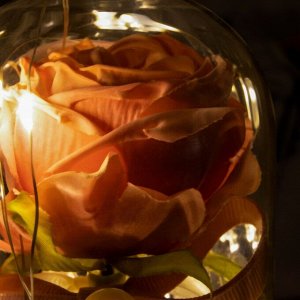 Ночник "Розовая роза" LED от батареек 3xLR41 9,5х9,5х23 см