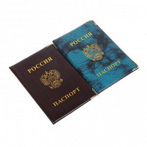 PAVO Обложка для паспорта 9,3х13,4см, ПВХ, 2 цвета, арт.P2015-21
