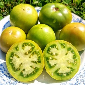 Помидоры Зелёный Карлик Келли — Dwarf Kelly Green Tomato