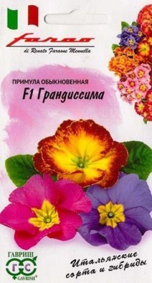 Примула Грандиссима F1 (Код: 84694)
