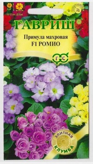 Примула Ромио смесь F1 (Код: 70949)