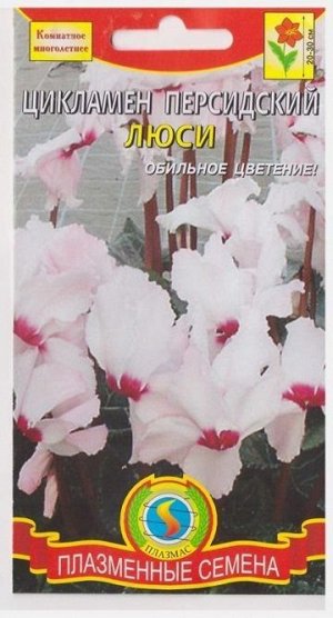 Цикламен Люси  (Код: 76156)
