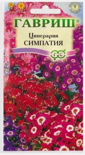 Цинерария Симпатия цветущая гибридная (Код: 11989)