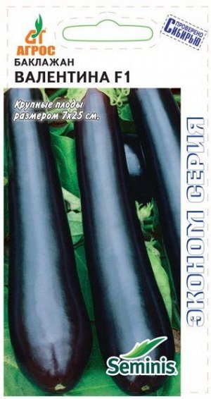 Баклажан Валентина F1 ЭКОНОМ (Код: 89738)