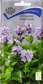 Котовник Голубая пантера (Код: 85705)