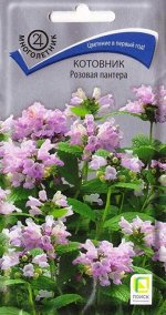 Котовник Розовая пантера (Код: 85706)