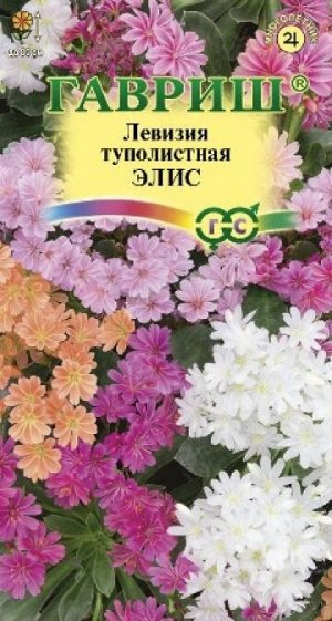 Левизия Элис (Код: 87904)