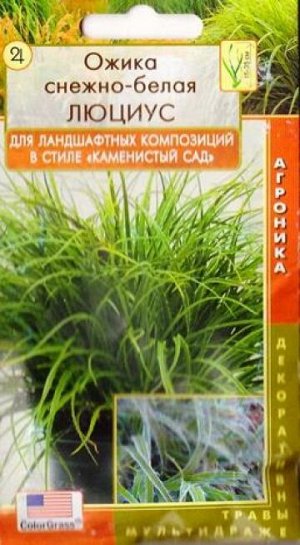 Ожика снежно-белая Люциус (Код: 82429)