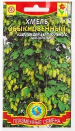 Хмель Обыкновенный (Код: 75414)