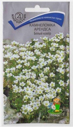 Камнеломка Арендса Белый ковер (Код: 65753)