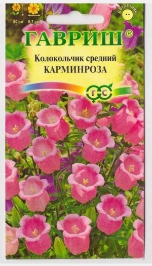 Колокольчик Средний Карминроза (Код: 10462)