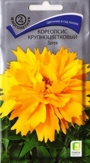 Кореопсис Затея (Код: 85704)