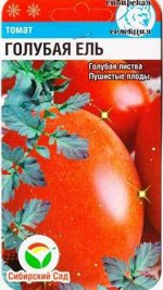 Томат Голубая ель (Код: 85102)