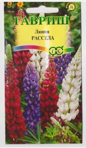 Люпин Рассела Смесь (Код: 3952)