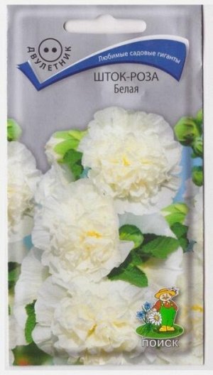 Шток-роза Белая (Код: 3675)