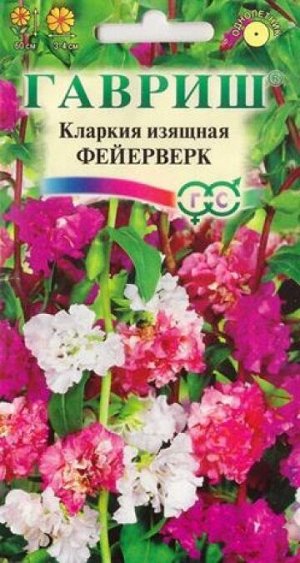 Кларкия Изящная Фейерверк смесь (Код: 67535)