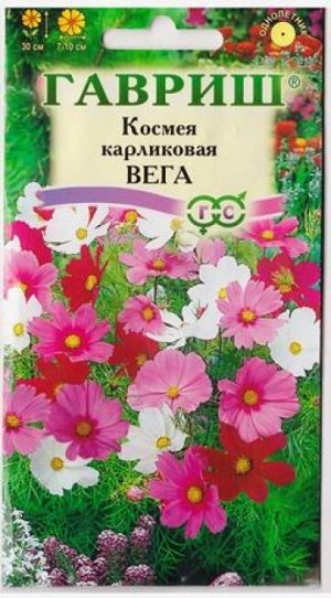 Космея Вега (Код: 5698)